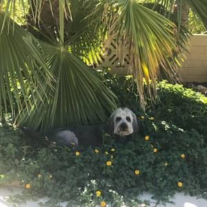 Meet your Posher, Trevor